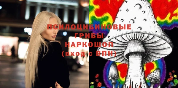 хмурый Киренск
