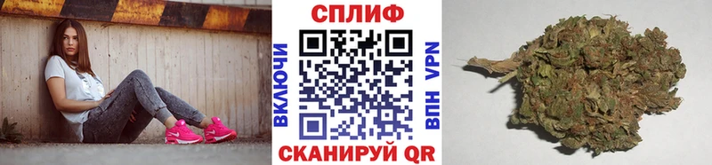 Конопля OG Kush  Камышин 